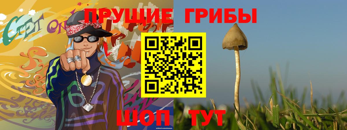 Галлюциногенные грибы GOLDEN TEACHER  Галлюциногенные грибы Magic Shrooms  Аша  Вход с VPN 