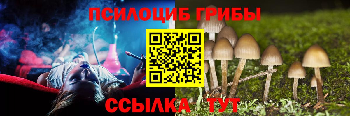 Галлюциногенные грибы MAGIC MUSHROOMS Аша